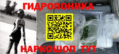 прущие крисы Сланцы