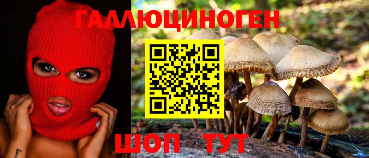 Похвистнево  купить наркотики цена  Галлюциногенные грибы мухоморы  Вход с VPN  Псилоцибиновые грибы мицелий 